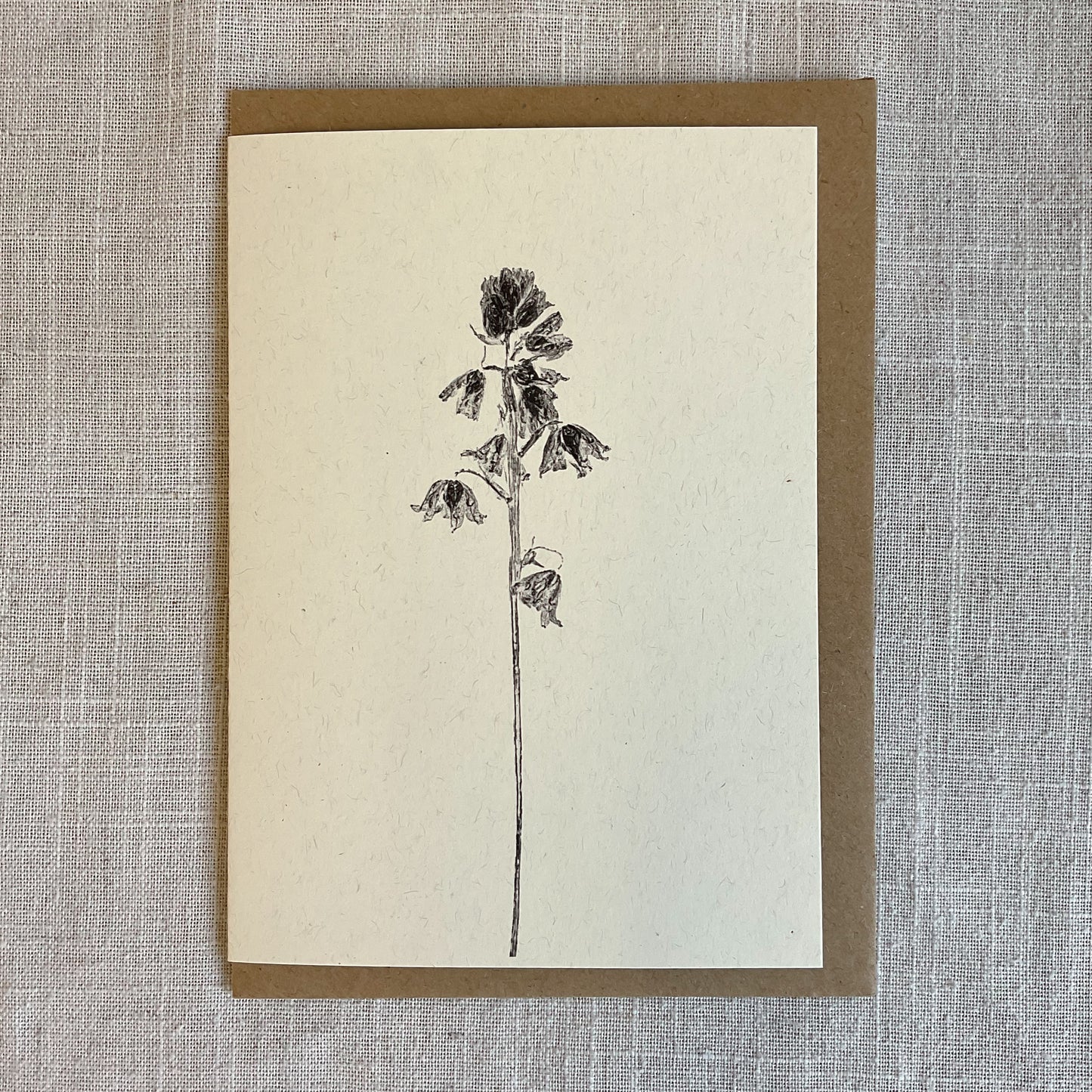 Botanical Greeting Cards