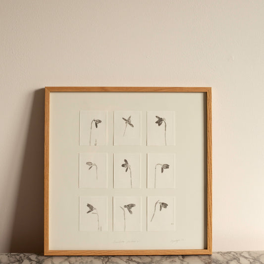 Snowdrop Studies Botanical Monoprint Framed