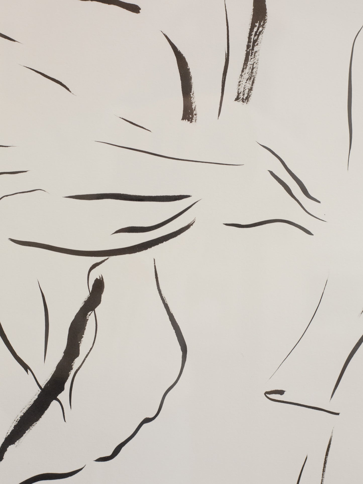 Close up of indian ink brushwork