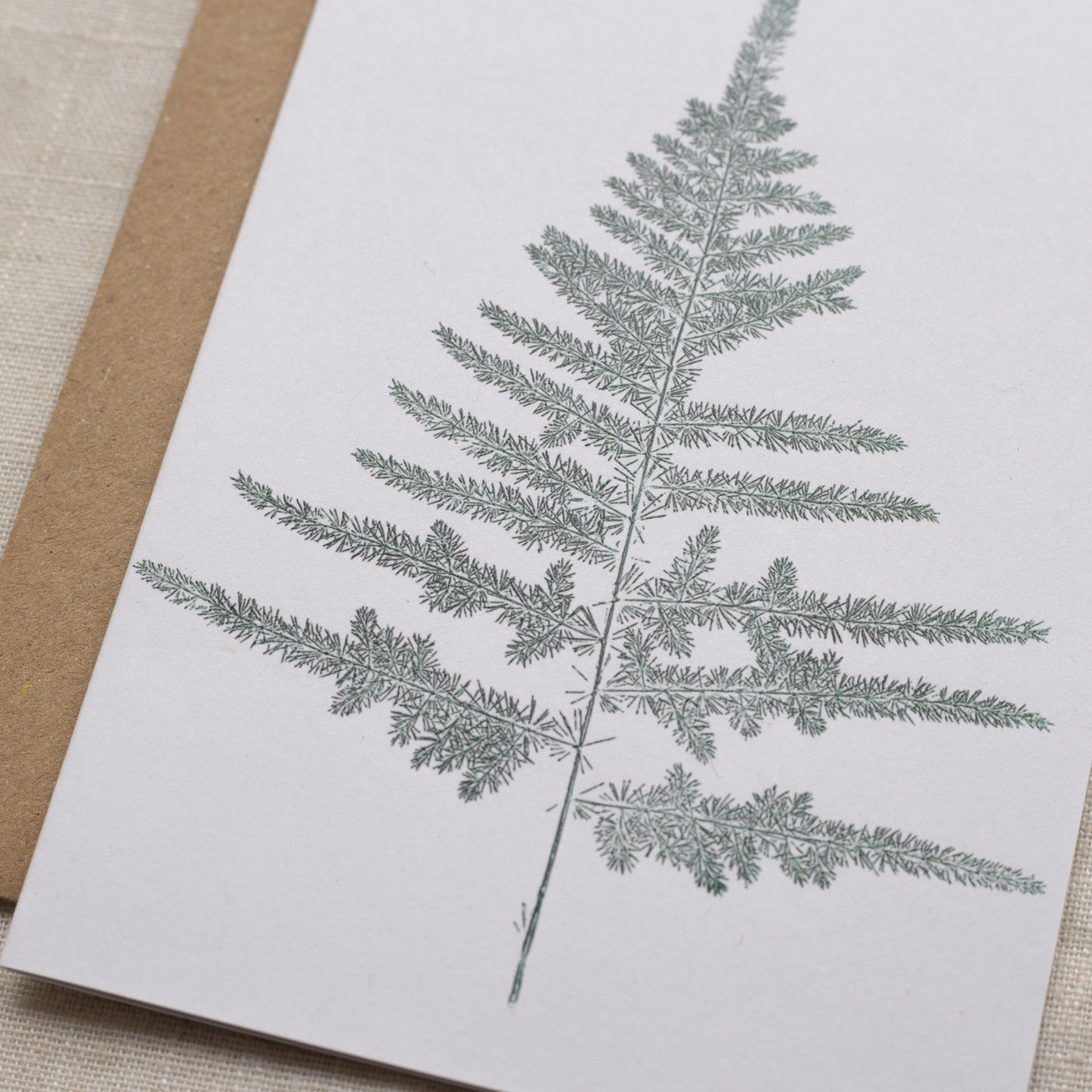 Greeting card with a fern leaf design on a textured surface