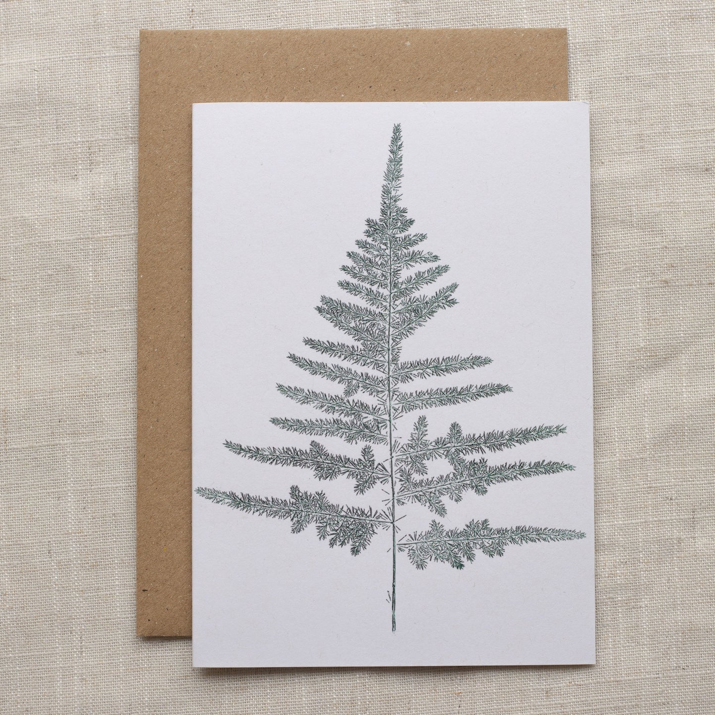 Fern christmas card design 