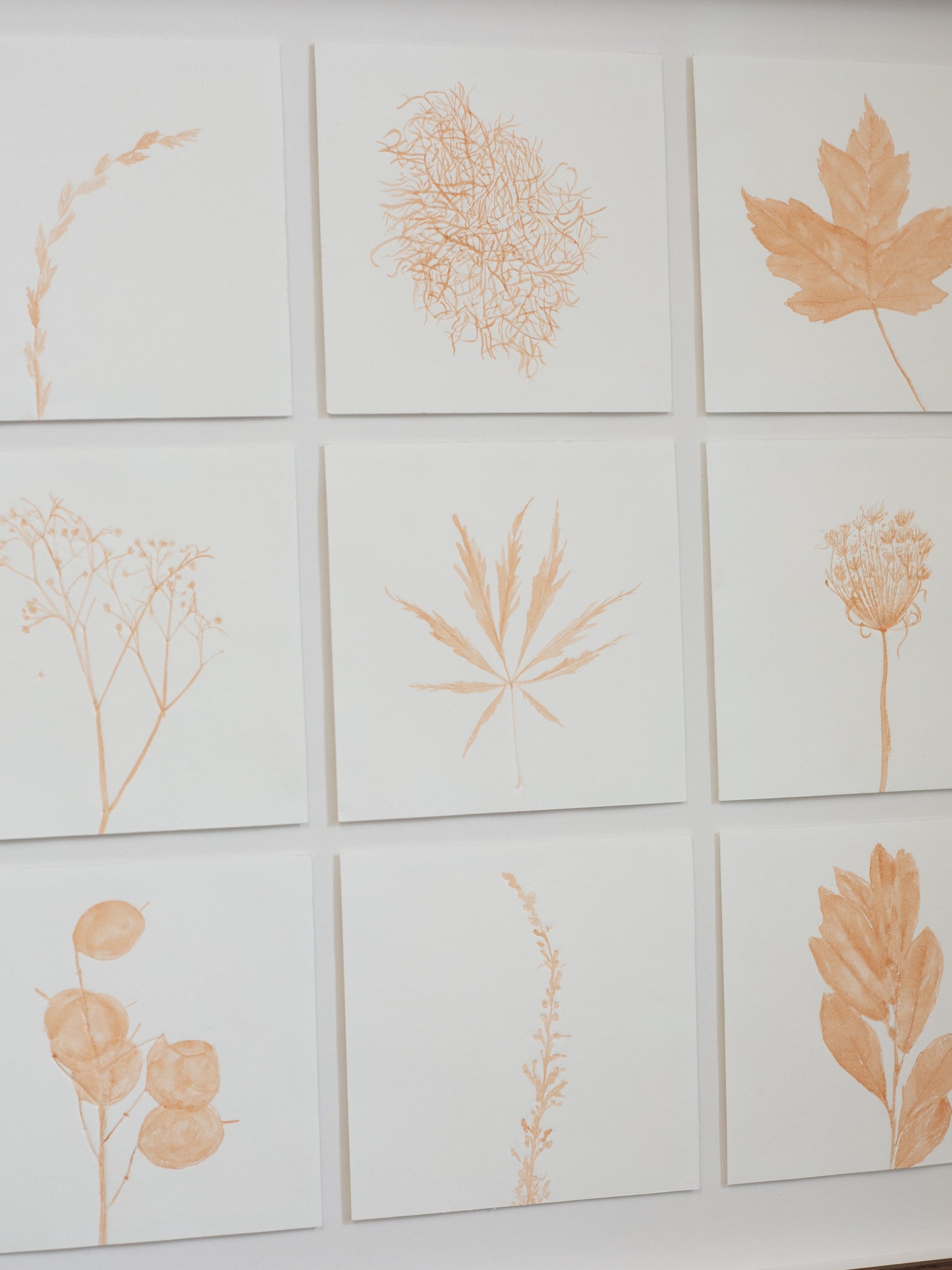 Set of nine square cards with orange botanical illustrations on a white background