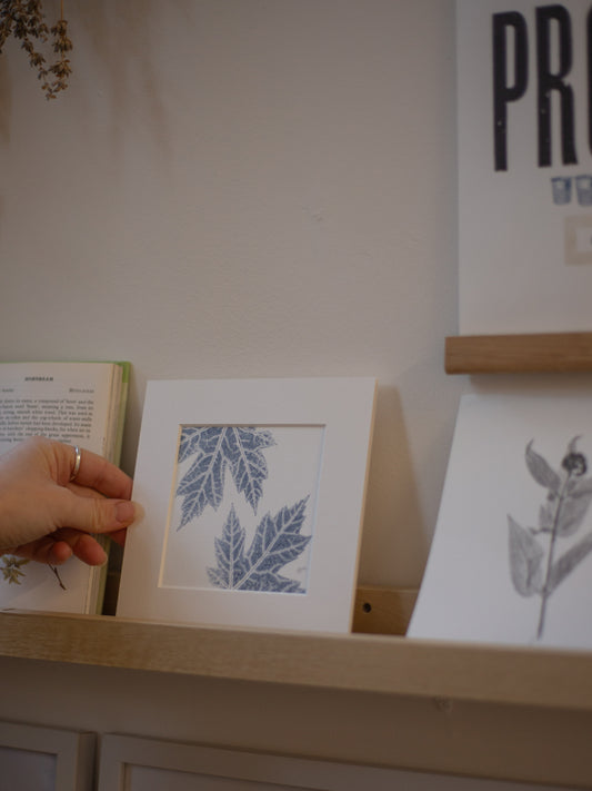 Maple Leaves - Mounted Square Botanical Monoprint