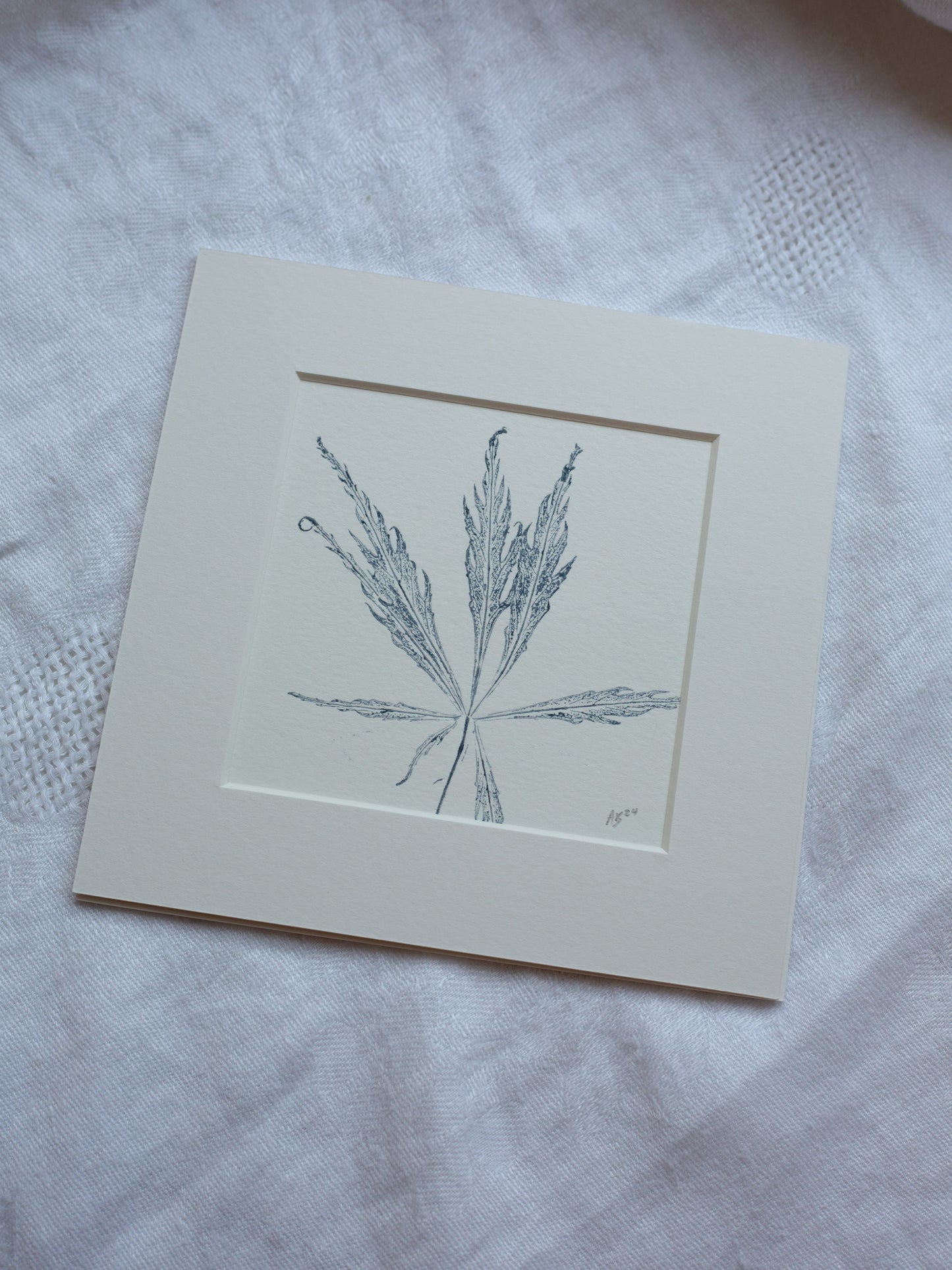 Acer leaf 2 - Mounted Square Botanical Monoprint