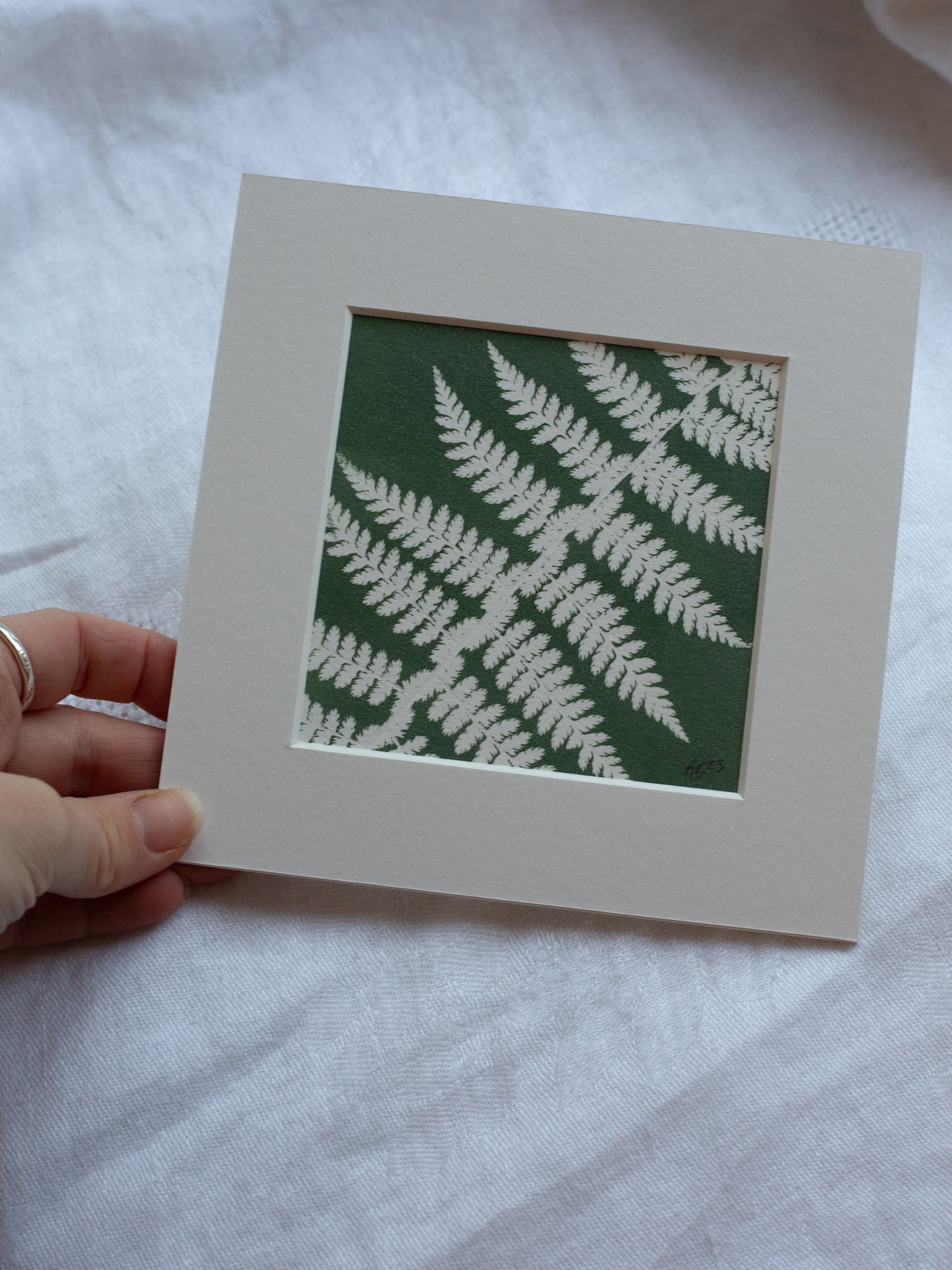 Fern 1 -  Mounted Square Botanical Monoprint