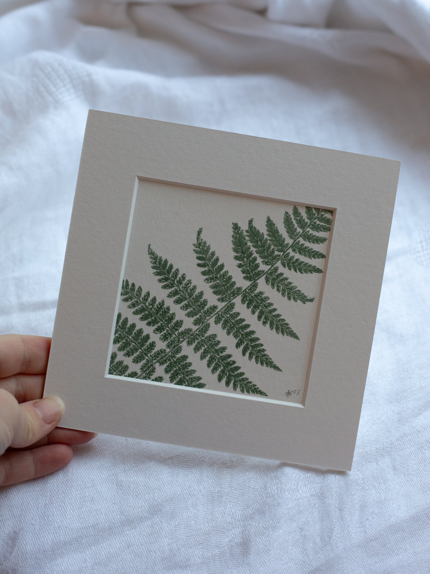 Fern 2 - Mounted Square Botanical Monoprint