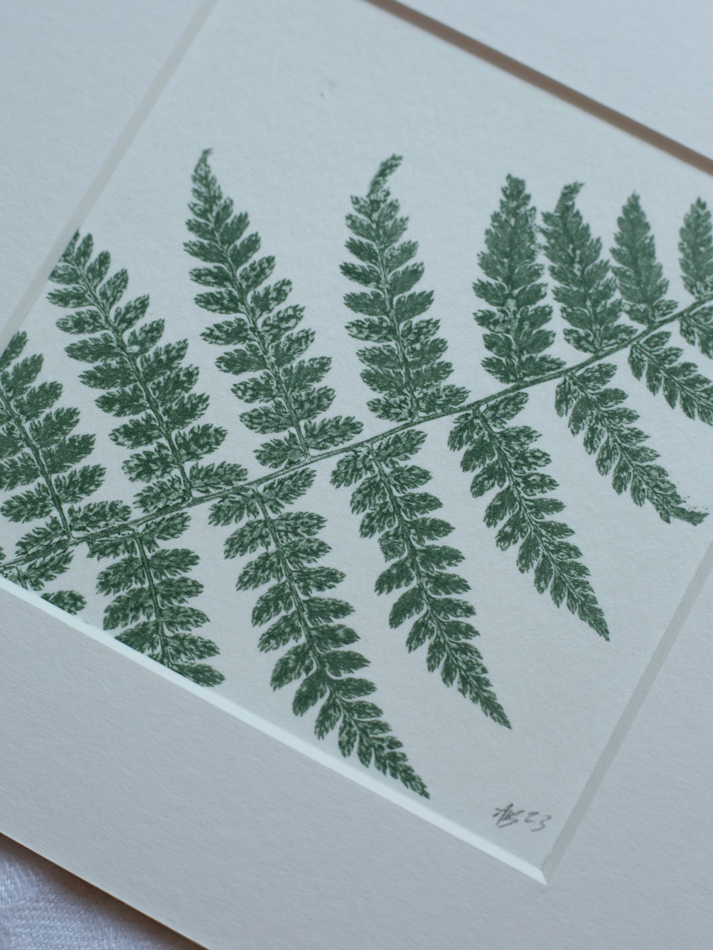 Fern 2 - Mounted Square Botanical Monoprint