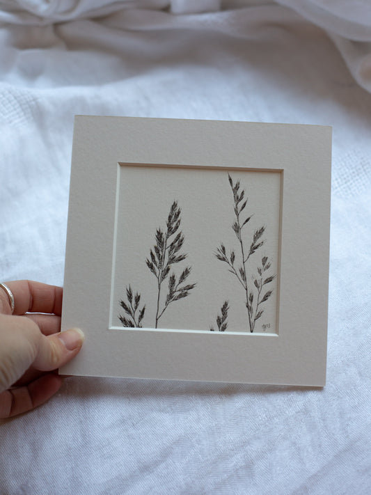 Grass 2 - Mounted Square Botanical Monoprint