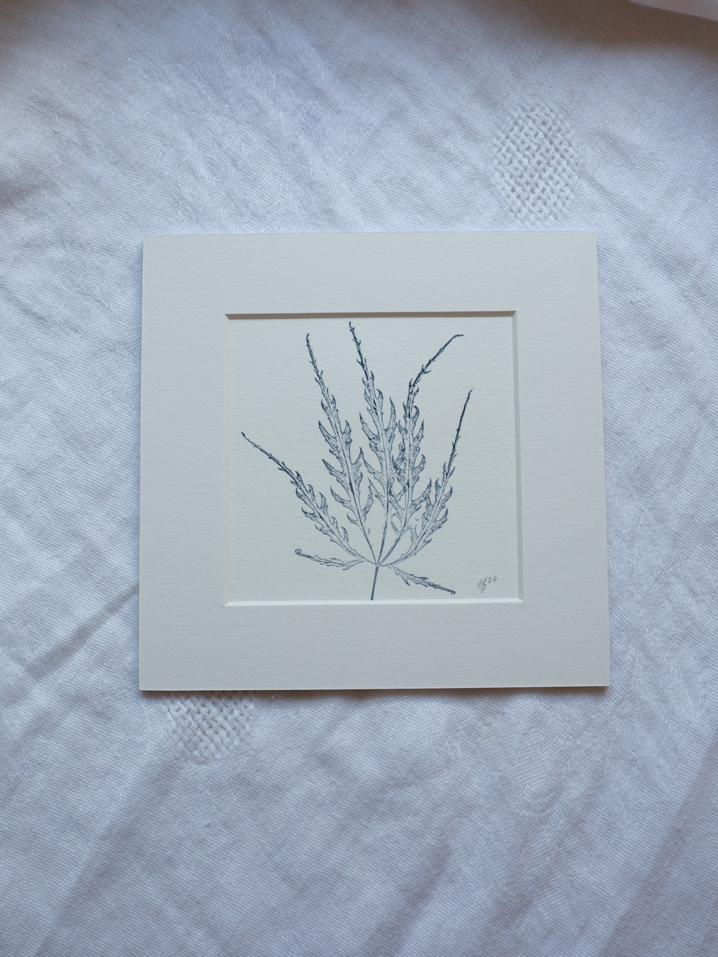 Acer leaf 1 - Mounted Square Botanical Monoprint