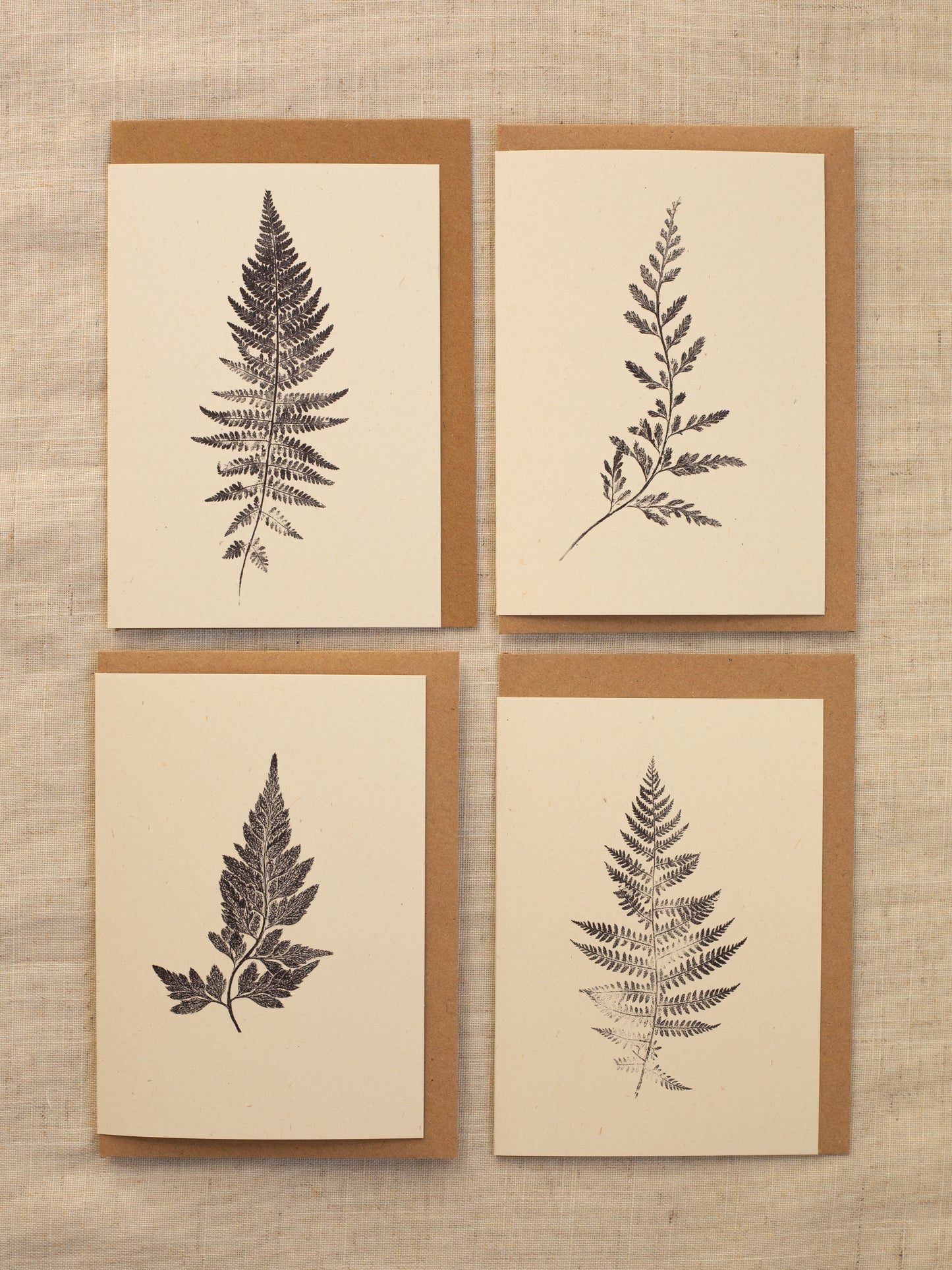 Fern Greeting Cards Pack of 4