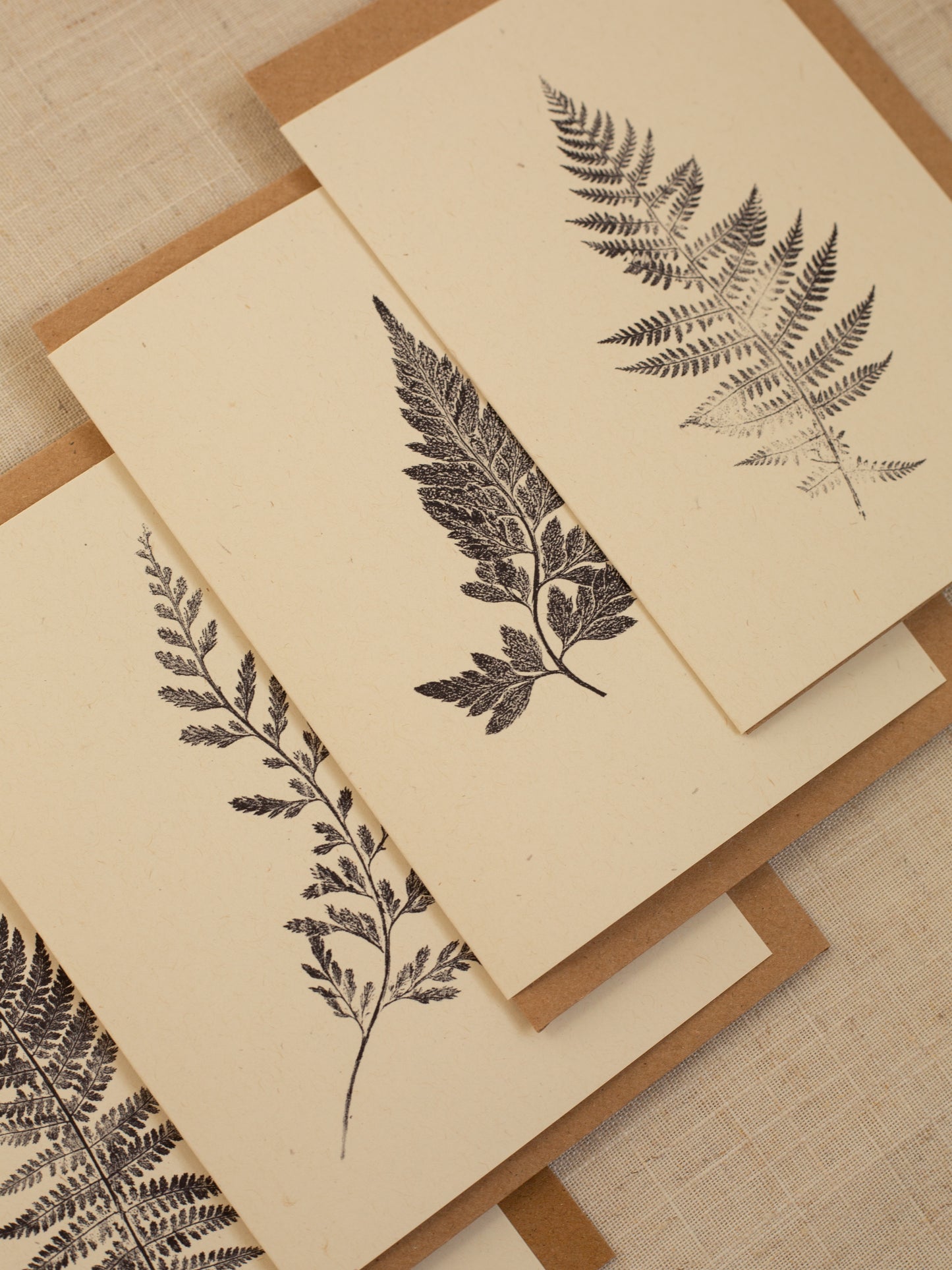 Fern Greeting Cards Pack of 4