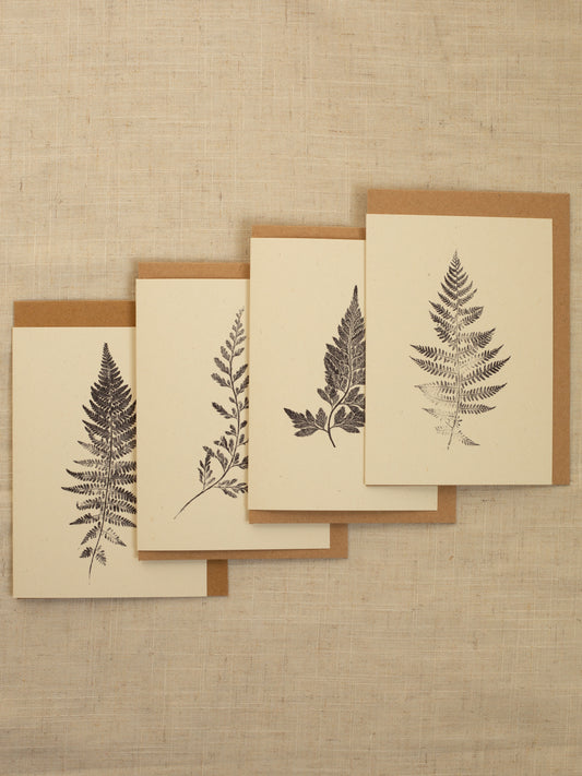 Fern Greeting Cards Pack of 4