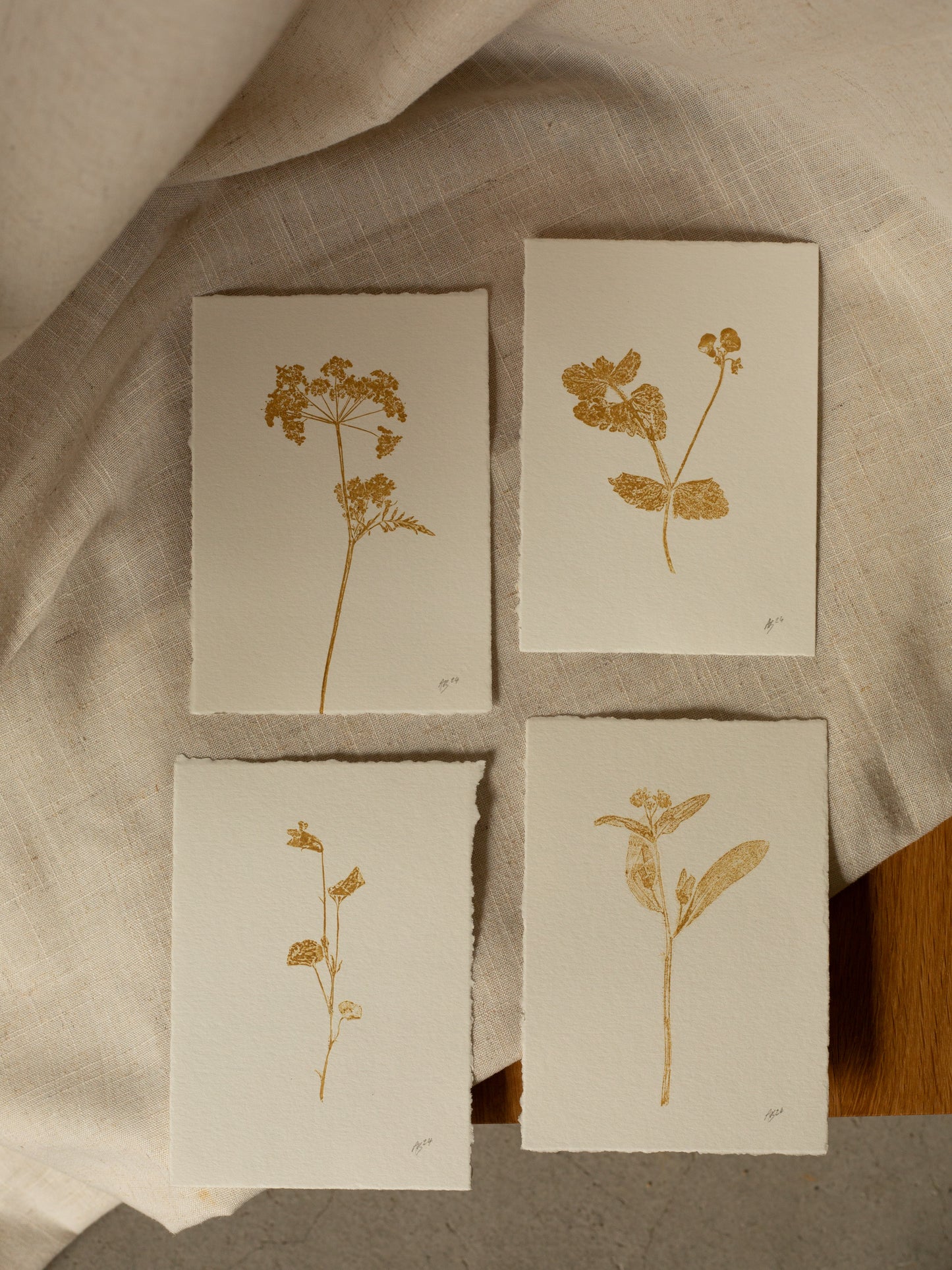 Cow Parsley 4, Yellow Ochre Monoprint