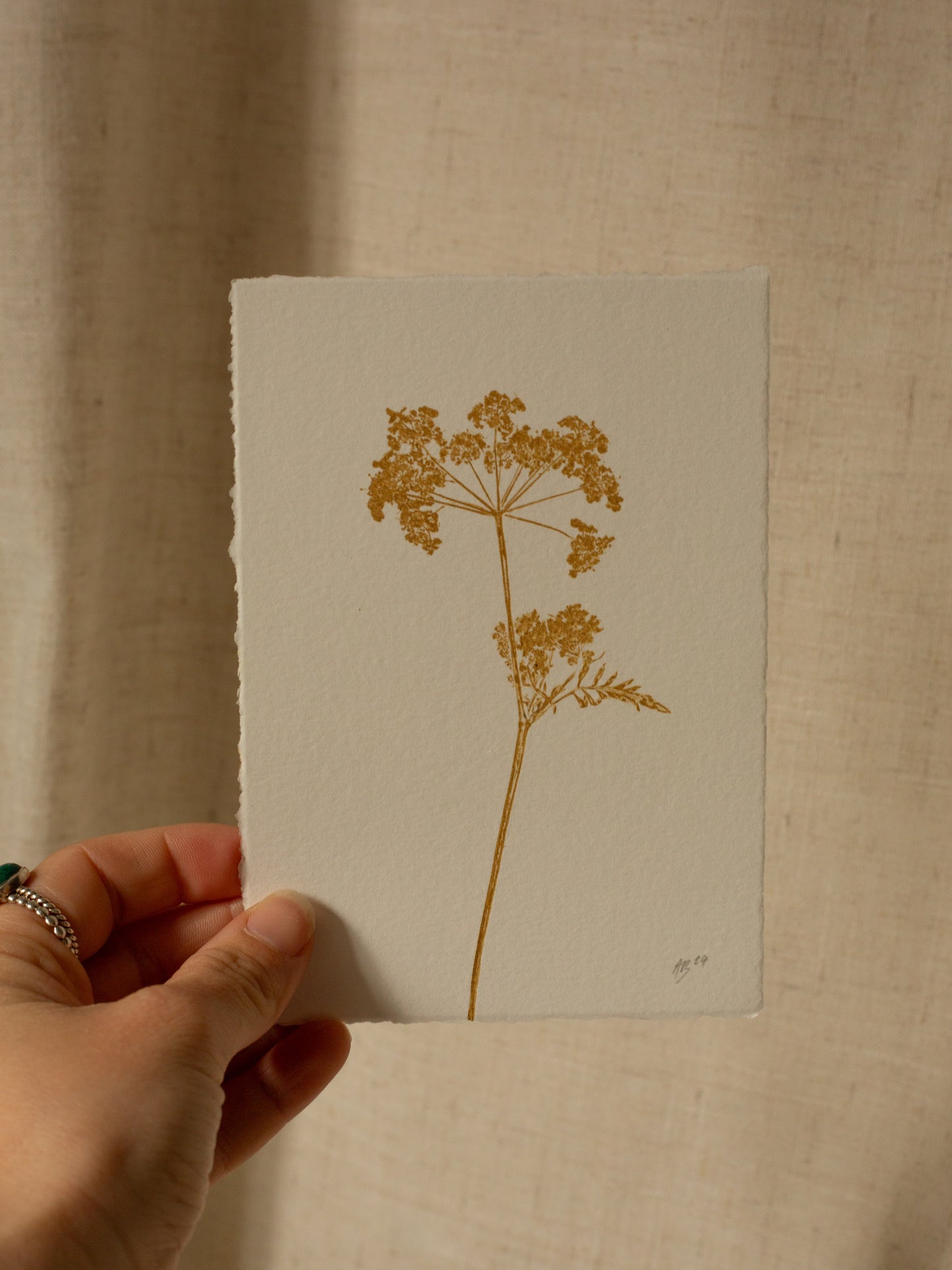 Cow Parsley 4, Yellow Ochre Monoprint