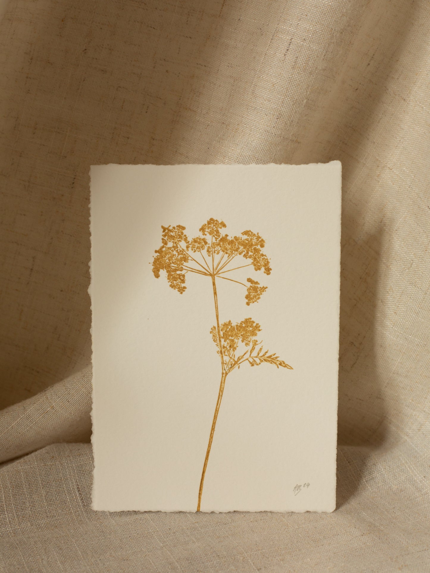 Cow Parsley 4, Yellow Ochre Monoprint