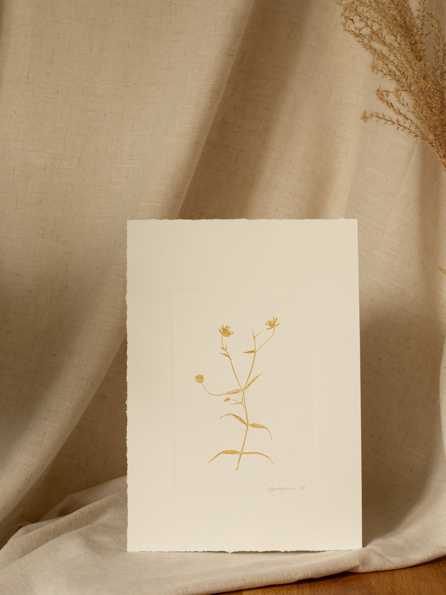 Greater Stitchwort 1, Yellow Ochre Monoprint