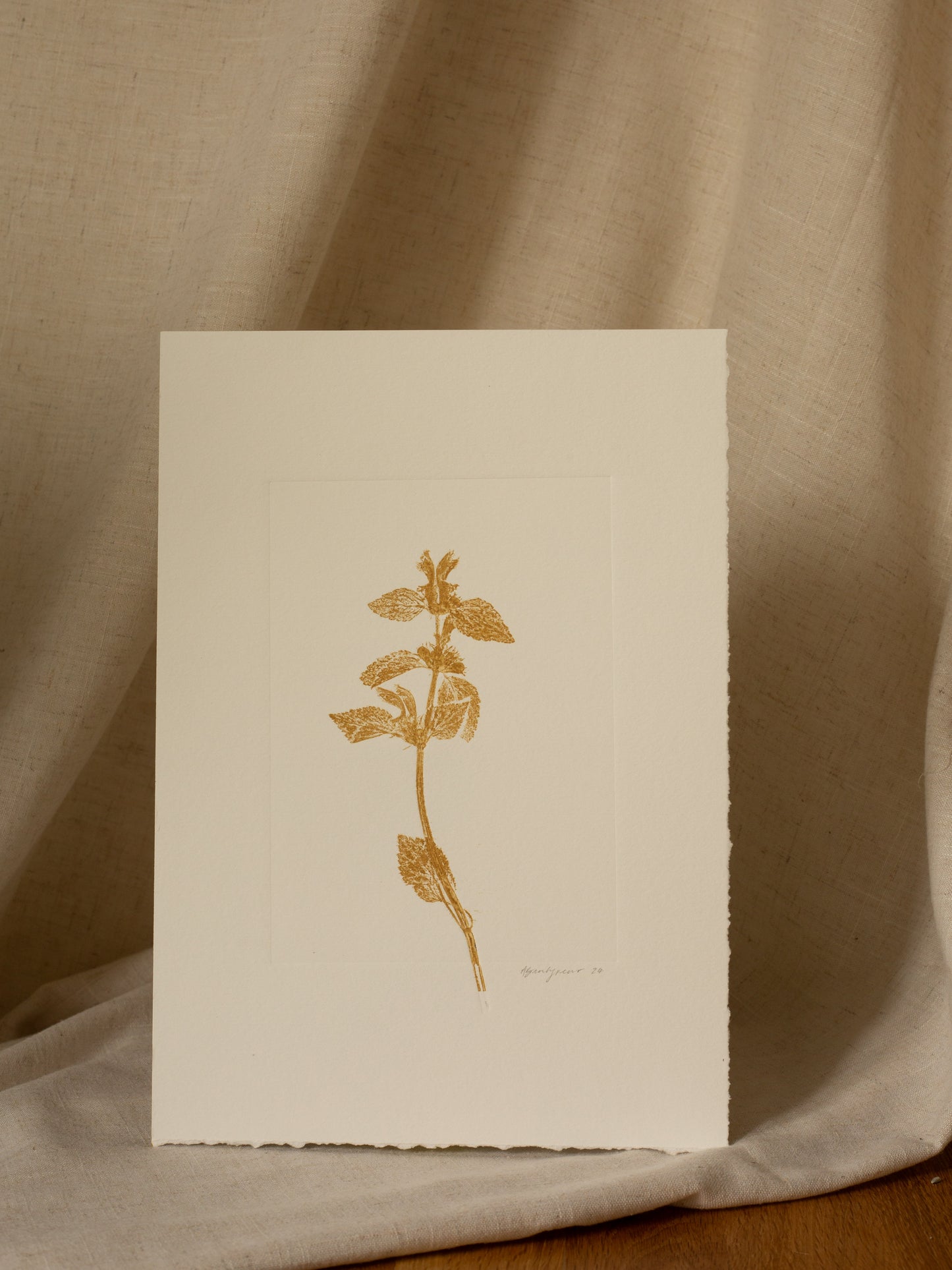 Yellow archangel 1, Yellow Ochre Monoprint