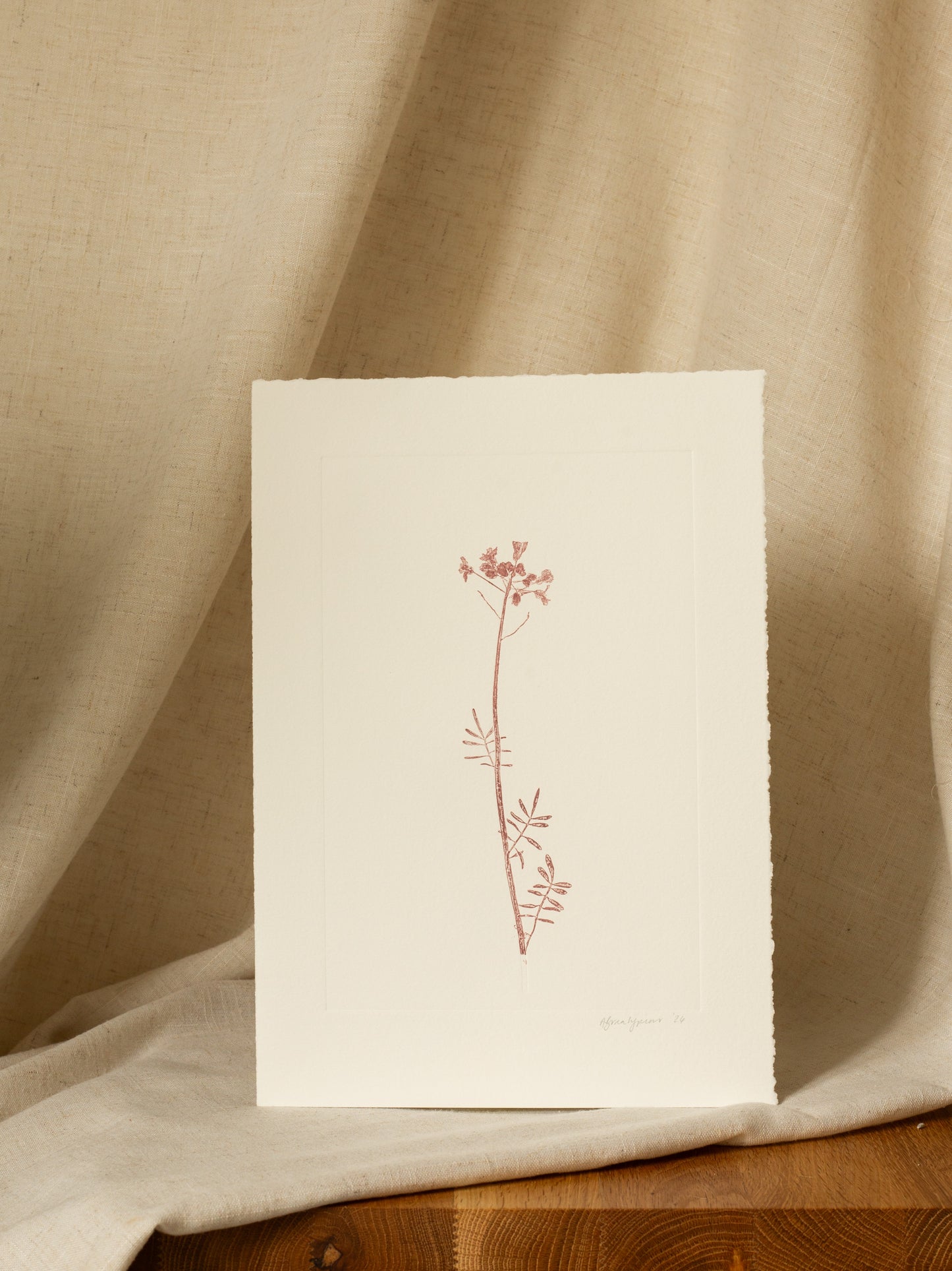 Cuckoo Flower 1, Mauve Monoprint