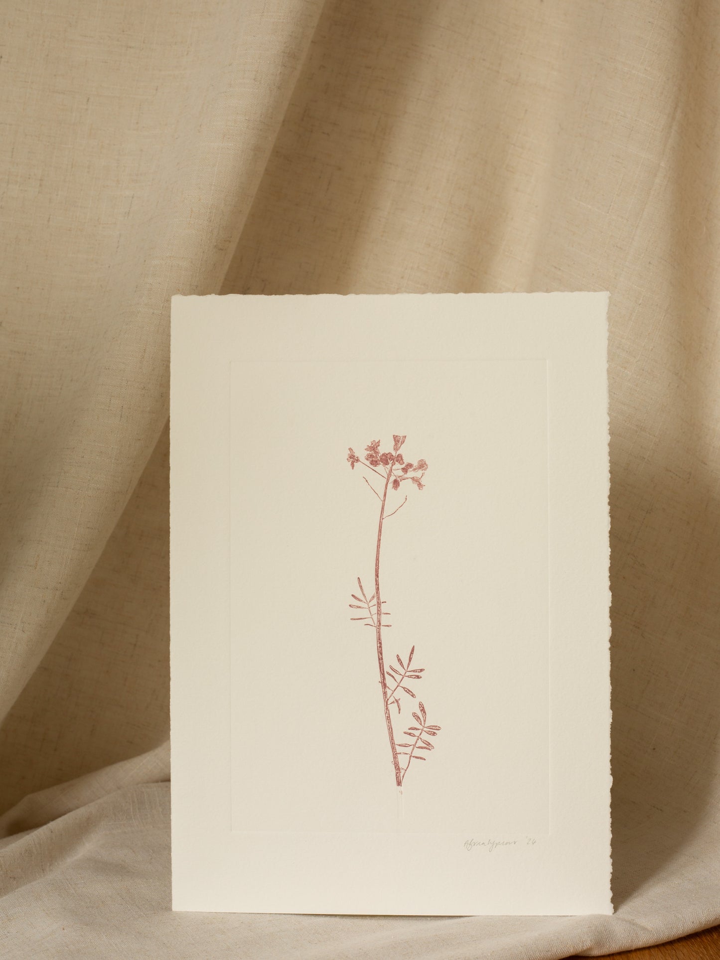 Cuckoo Flower 1, Mauve Monoprint