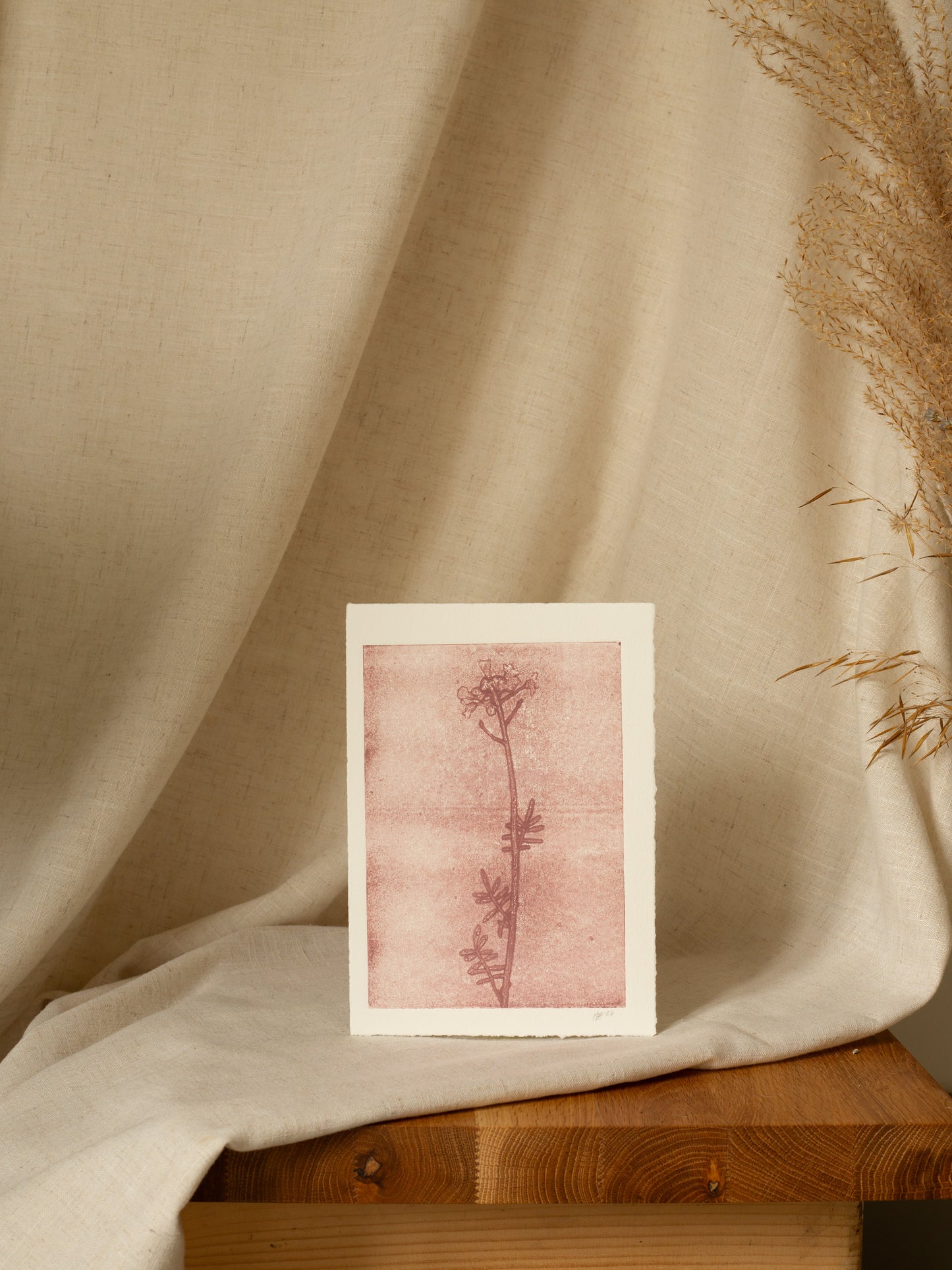 Cuckoo Flower 2, Mauve Ghost Print