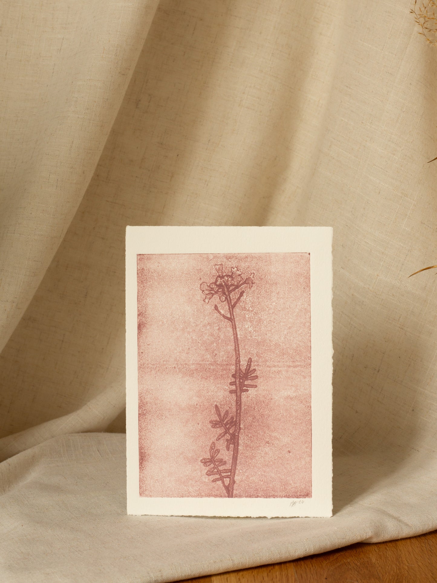 Cuckoo Flower 2, Mauve Ghost Print