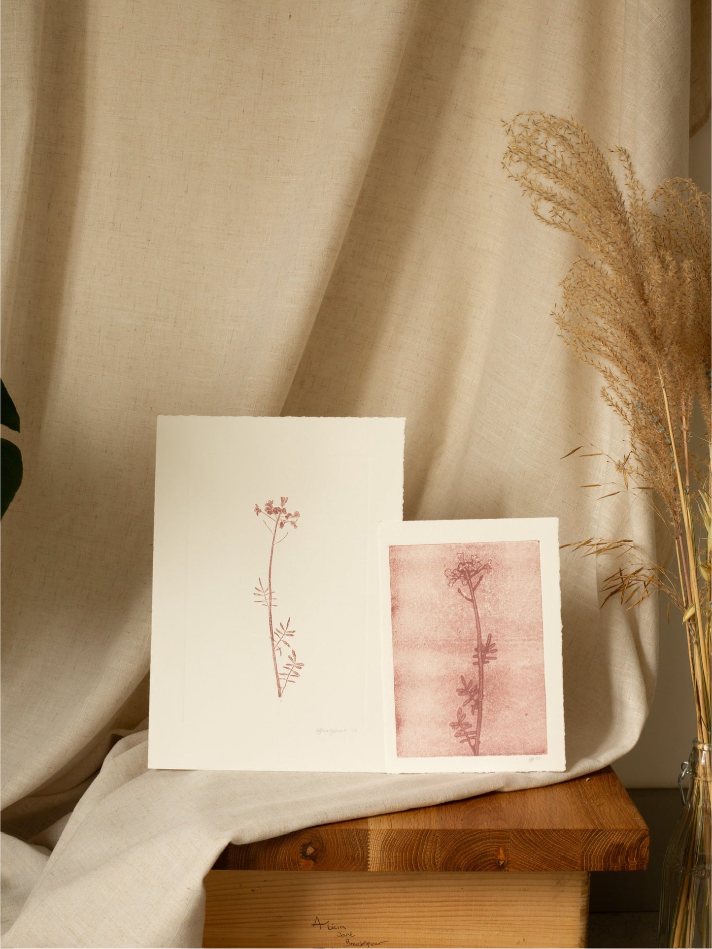 Cuckoo Flower 2, Mauve Ghost Print