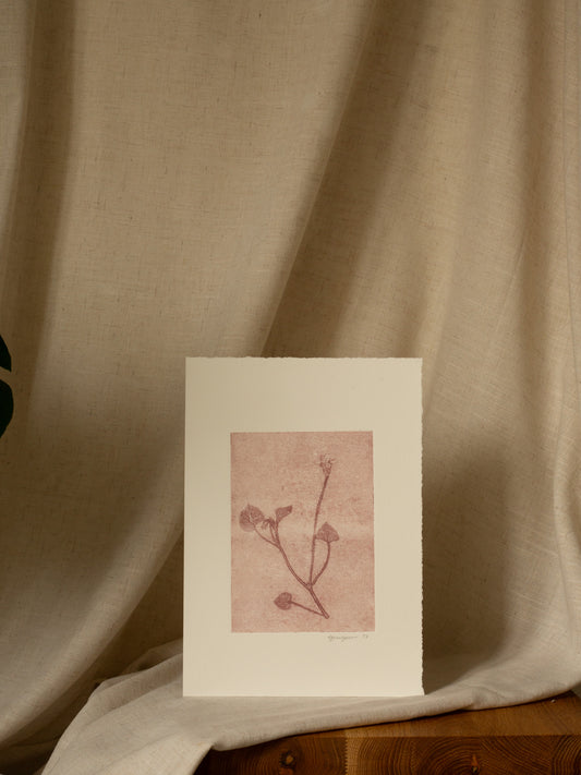 Dog-Violet 3, Mauve Ghost Monoprint