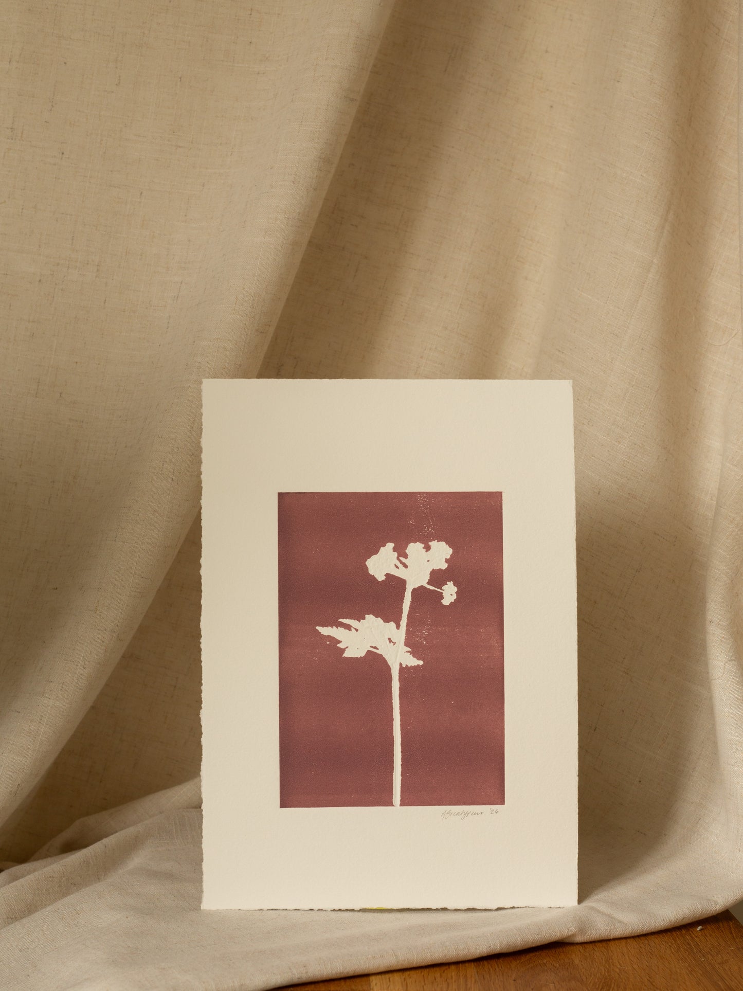 Cow Parsley 3, Mauve Monoprint