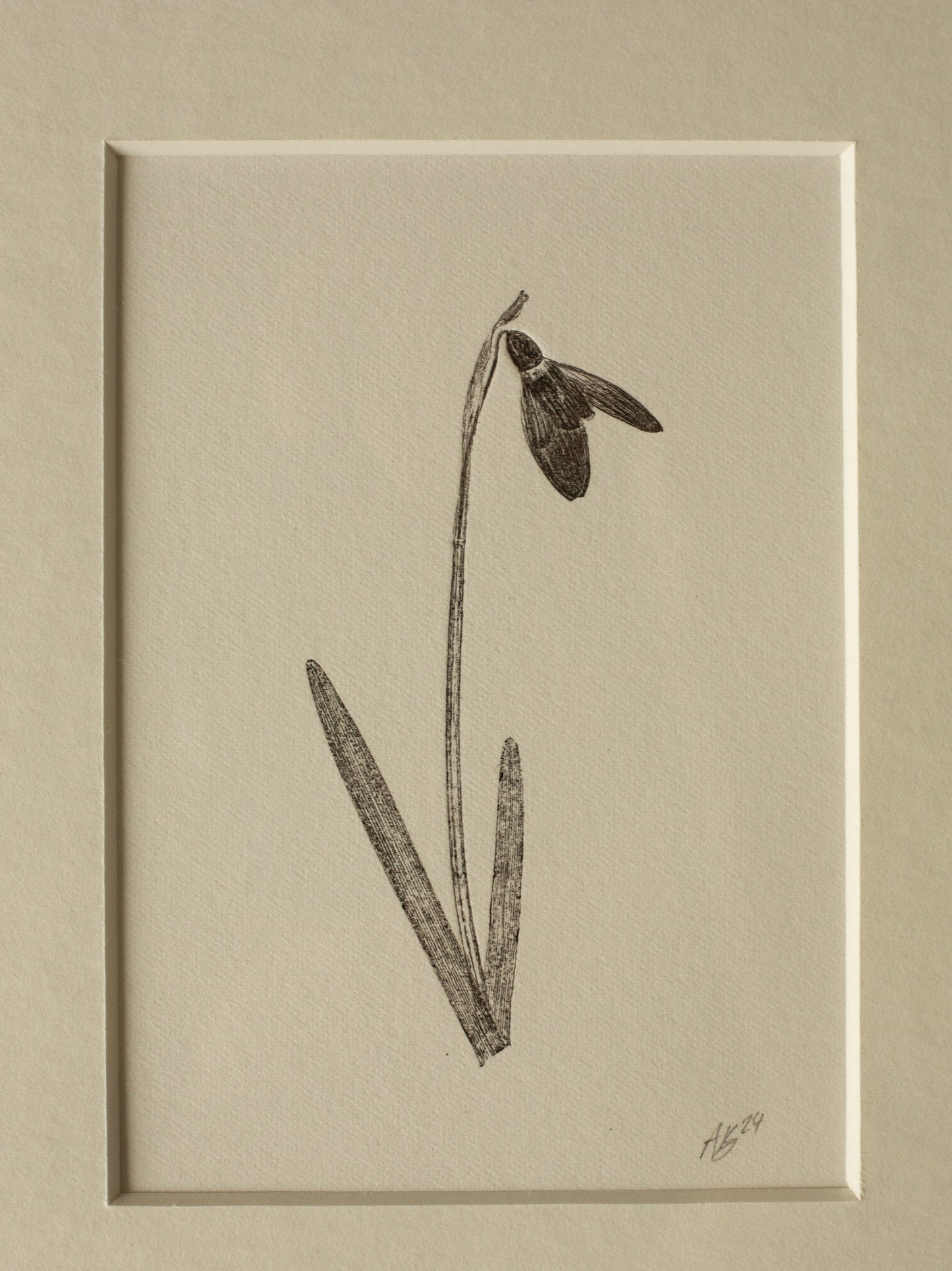 Snowdrop 4, Framed Monoprint