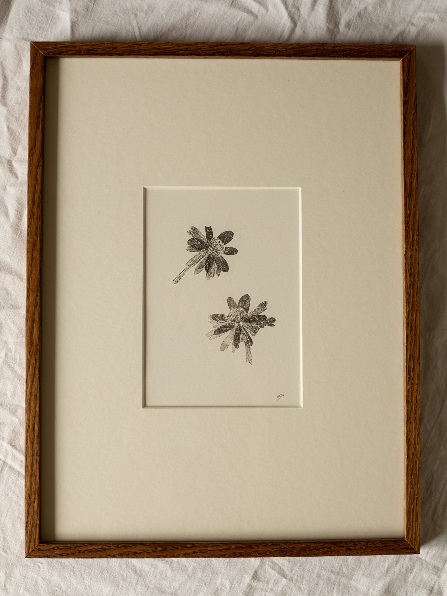 Winter Aconite, Botanical Monoprint Framed