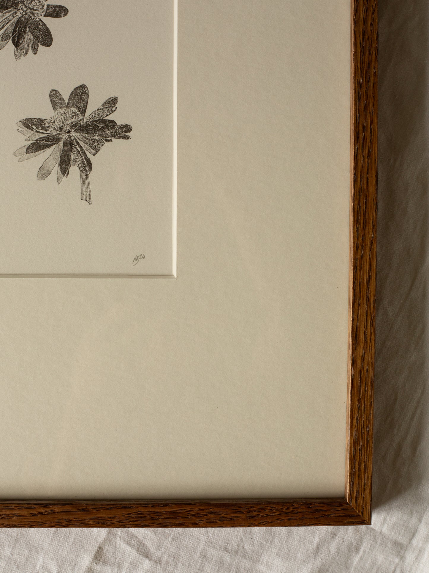 Winter Aconite, Botanical Monoprint Framed