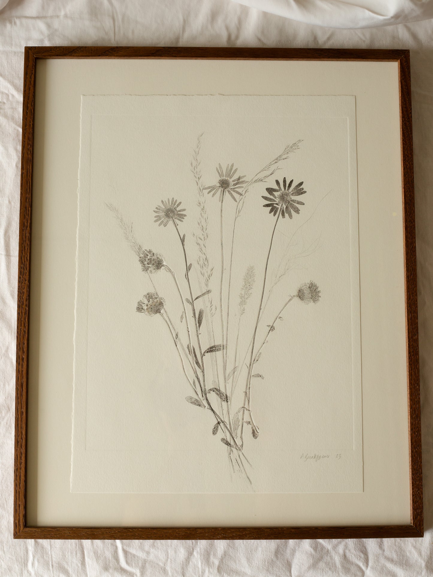 Wildflower Meadow, Botanical Monoprint Framed