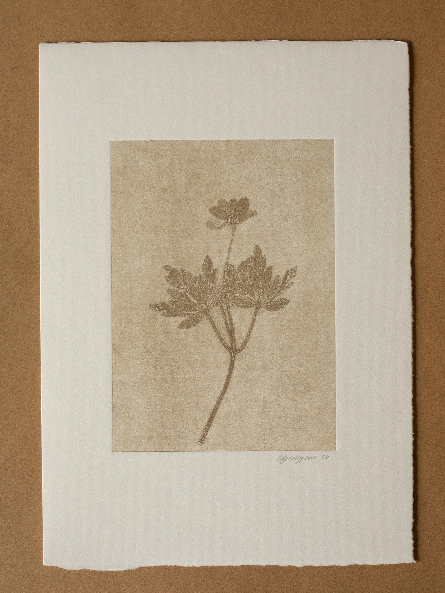 Wood Anemone 2, Ghost Monoprint, Original Botanical Print