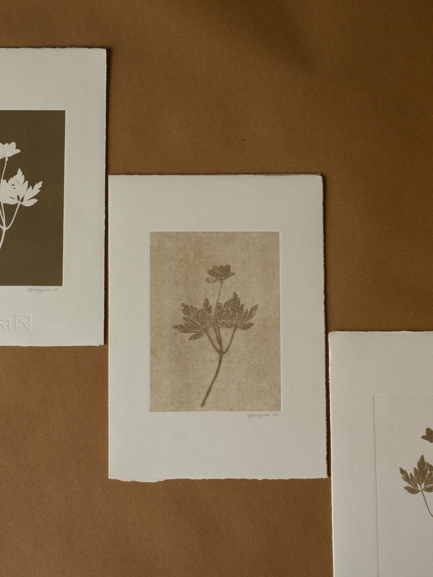 Wood Anemone 2, Ghost Monoprint, Original Botanical Print