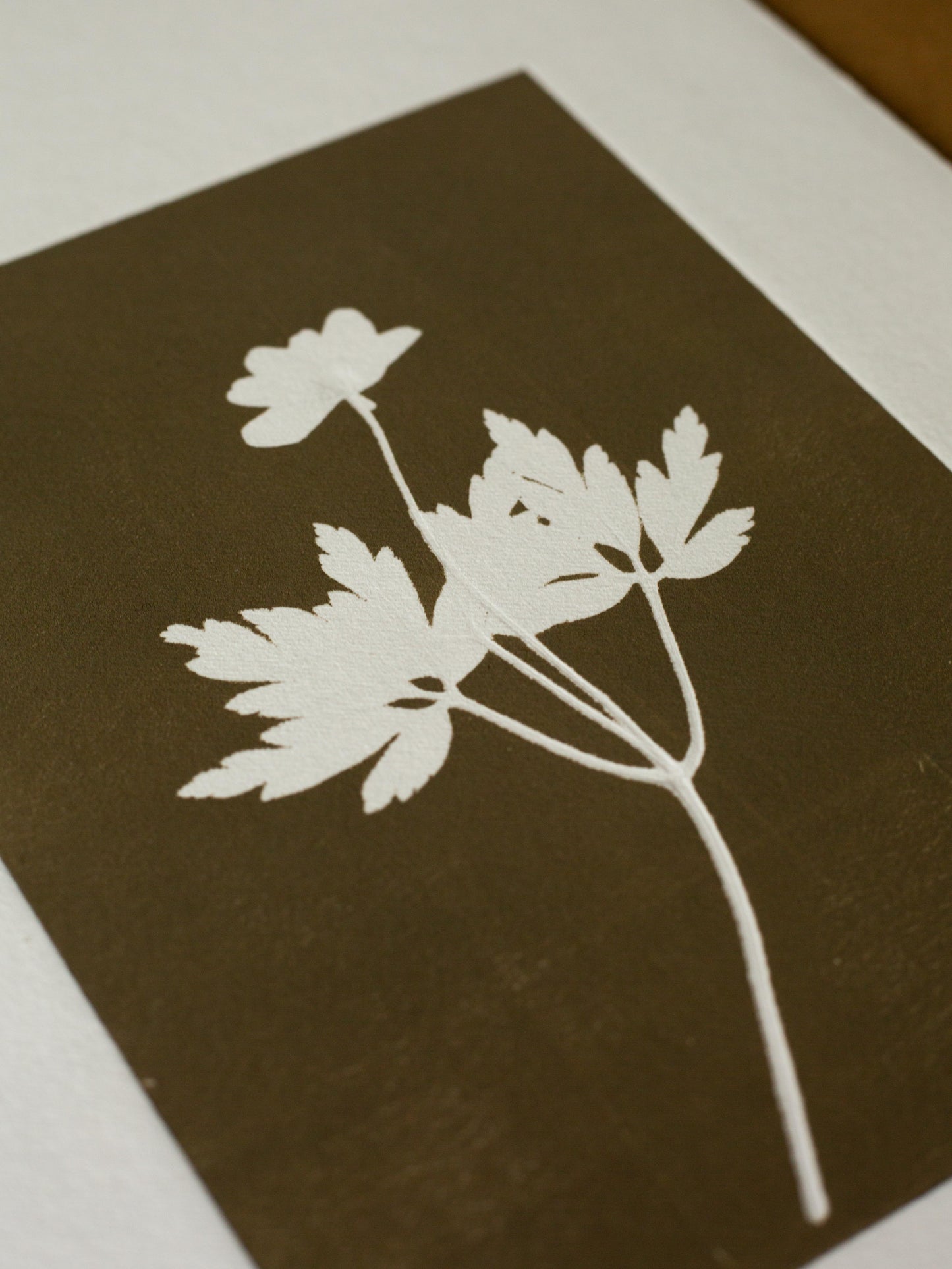 Wood Anemone 1, Monoprint, Original Botanical Print