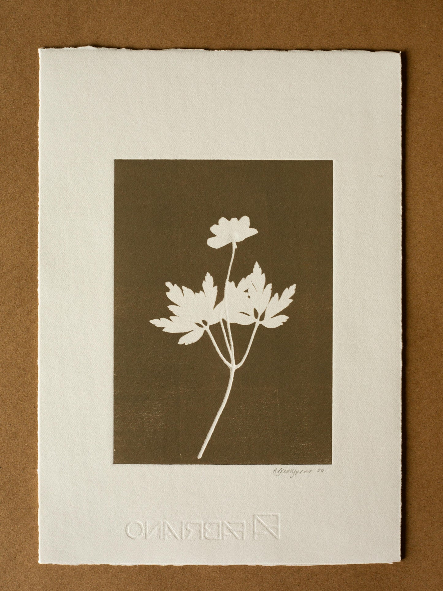 Wood Anemone 1, Monoprint, Original Botanical Print