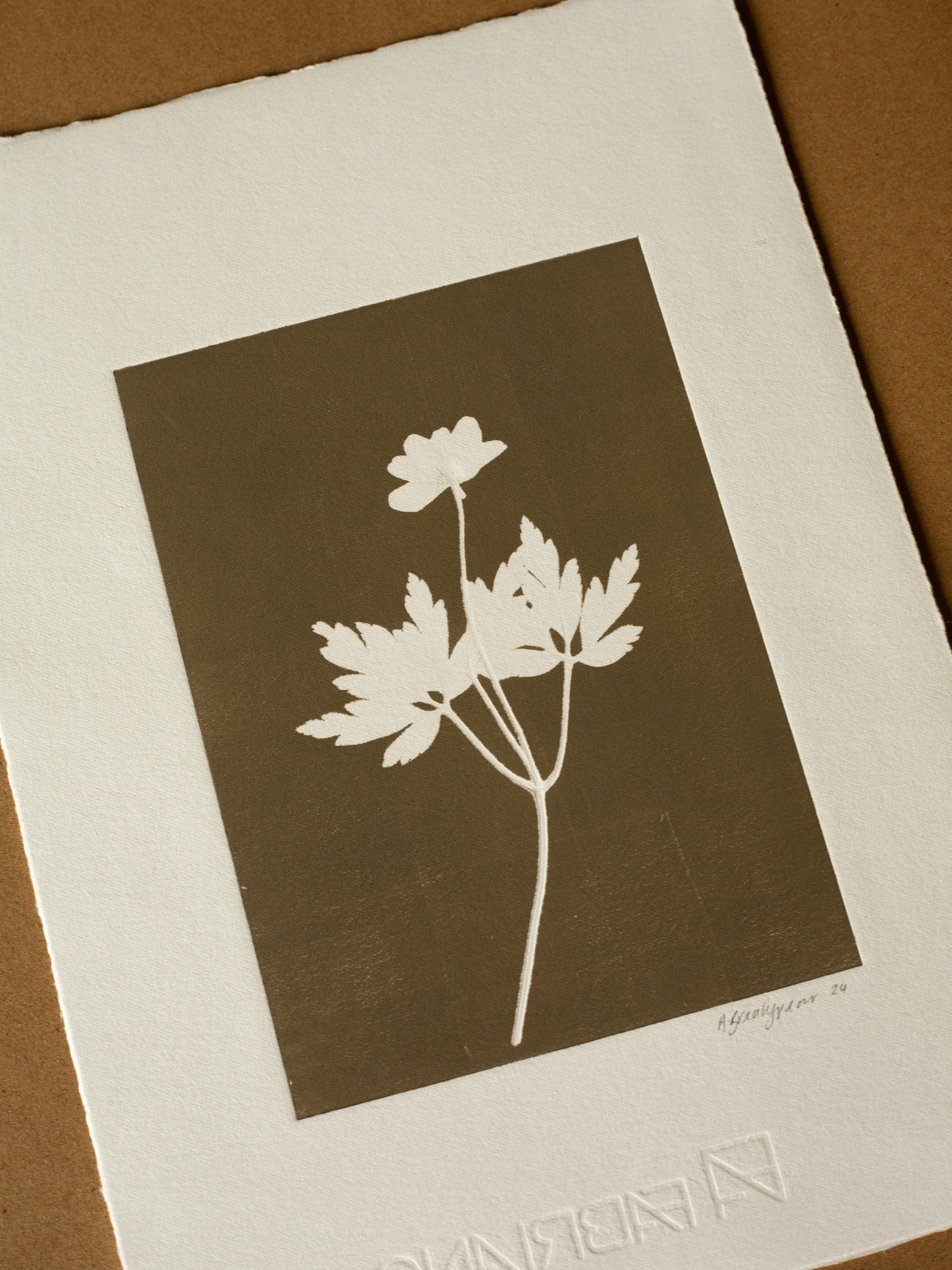 Wood Anemone 1, Monoprint, Original Botanical Print