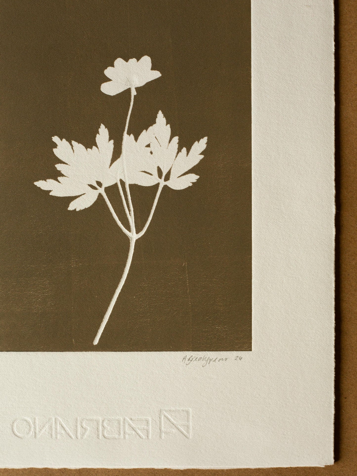 Wood Anemone 1, Monoprint, Original Botanical Print