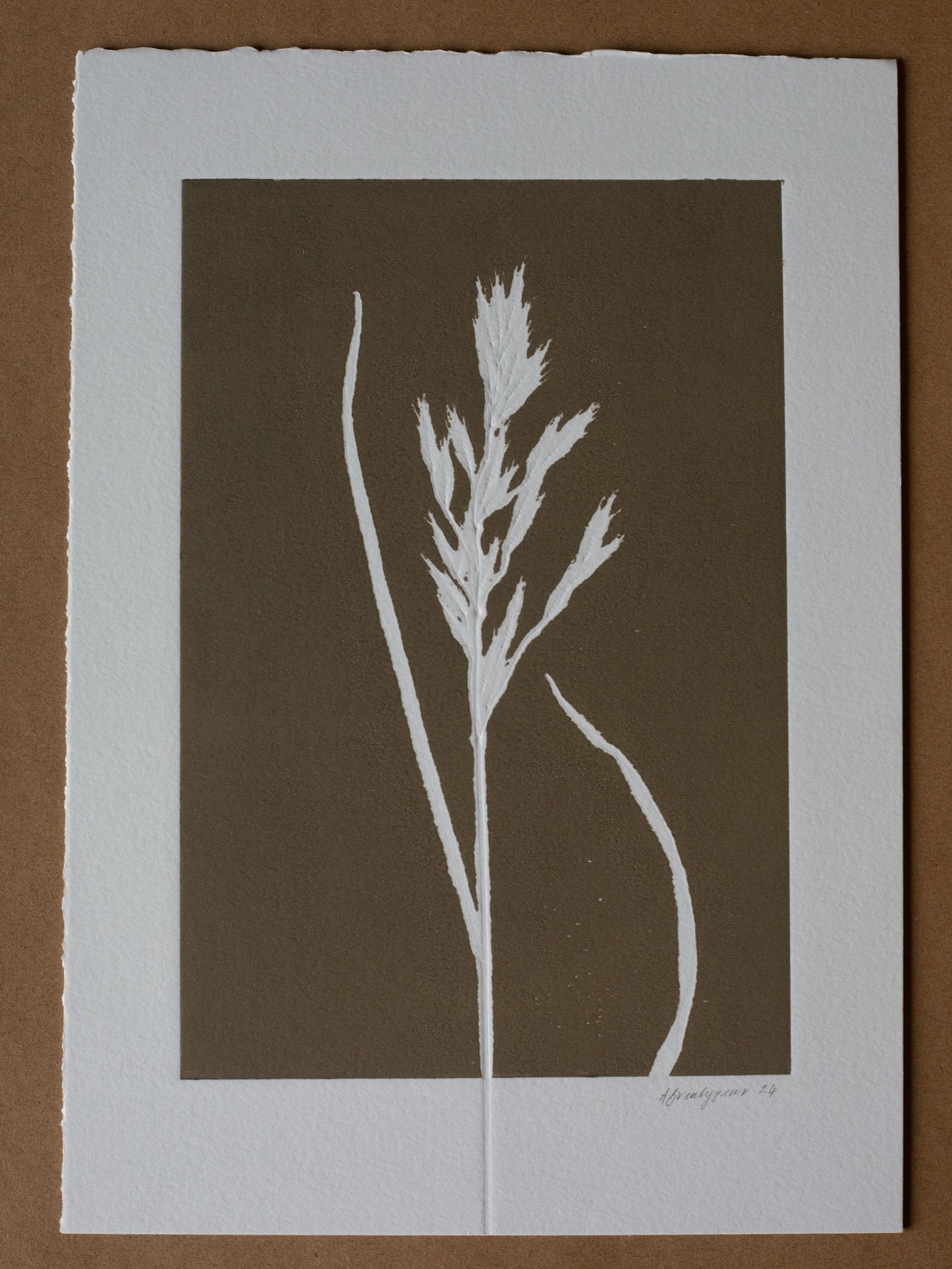 Grass 1, Monoprint, Original Botanical Print