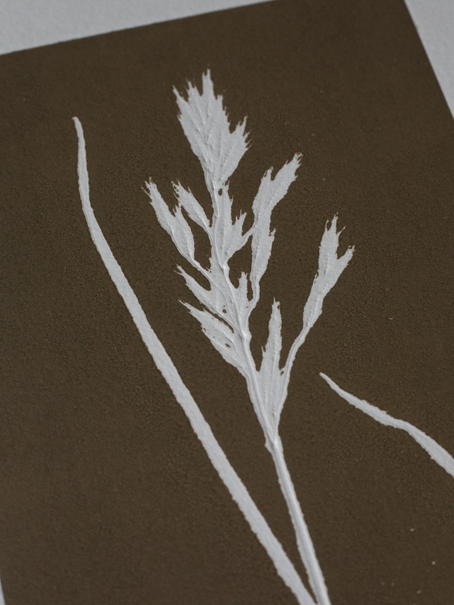 Grass 1, Monoprint, Original Botanical Print