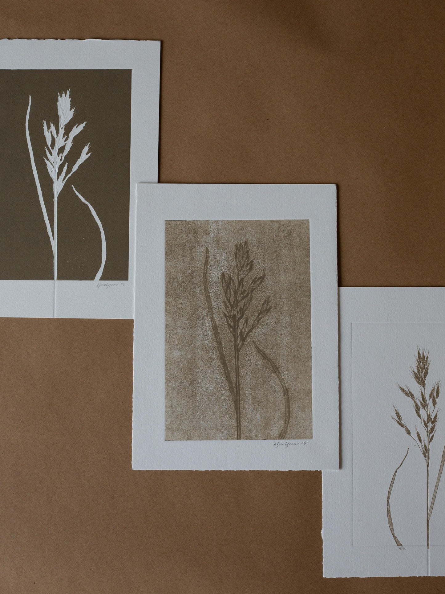 Grass 1, Monoprint, Original Botanical Print