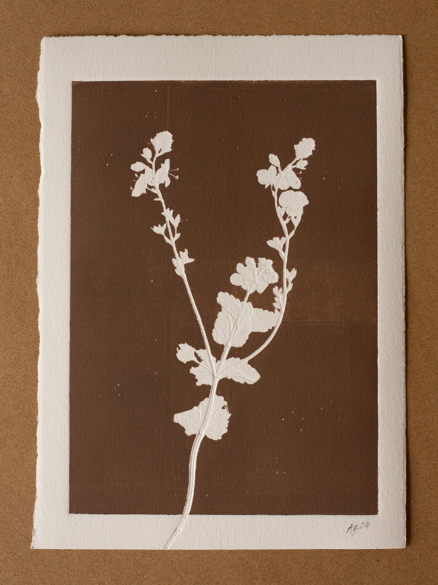 Speedwell 3, Monoprint, Original Botanical Print