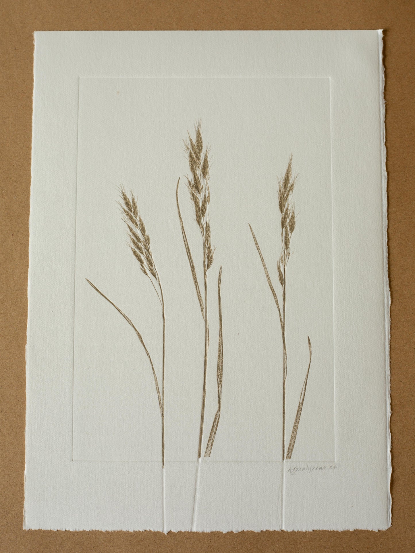 Three Grasses 2, Monoprint, Original Botanical Print