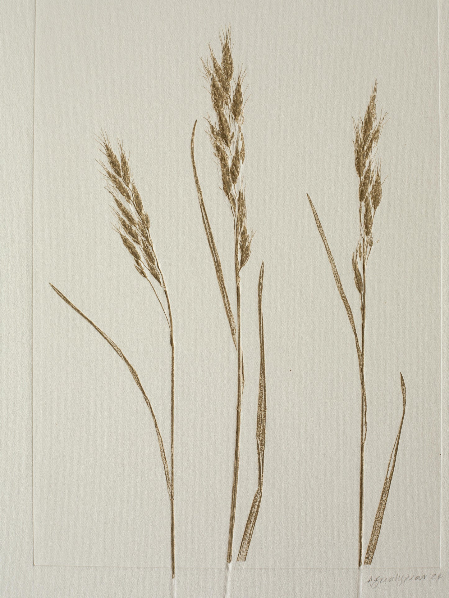 Three Grasses 2, Monoprint, Original Botanical Print