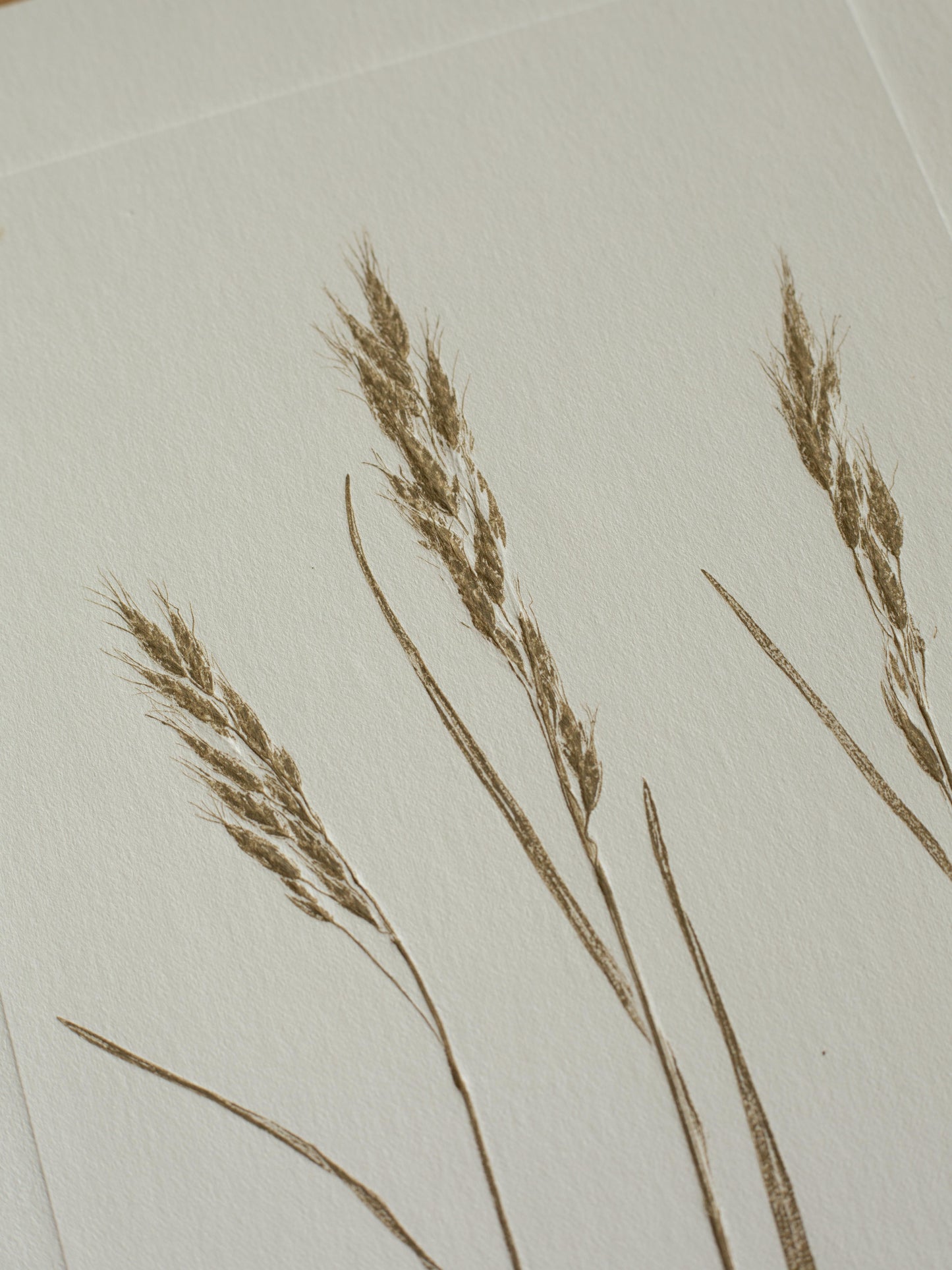 Three Grasses 2, Monoprint, Original Botanical Print