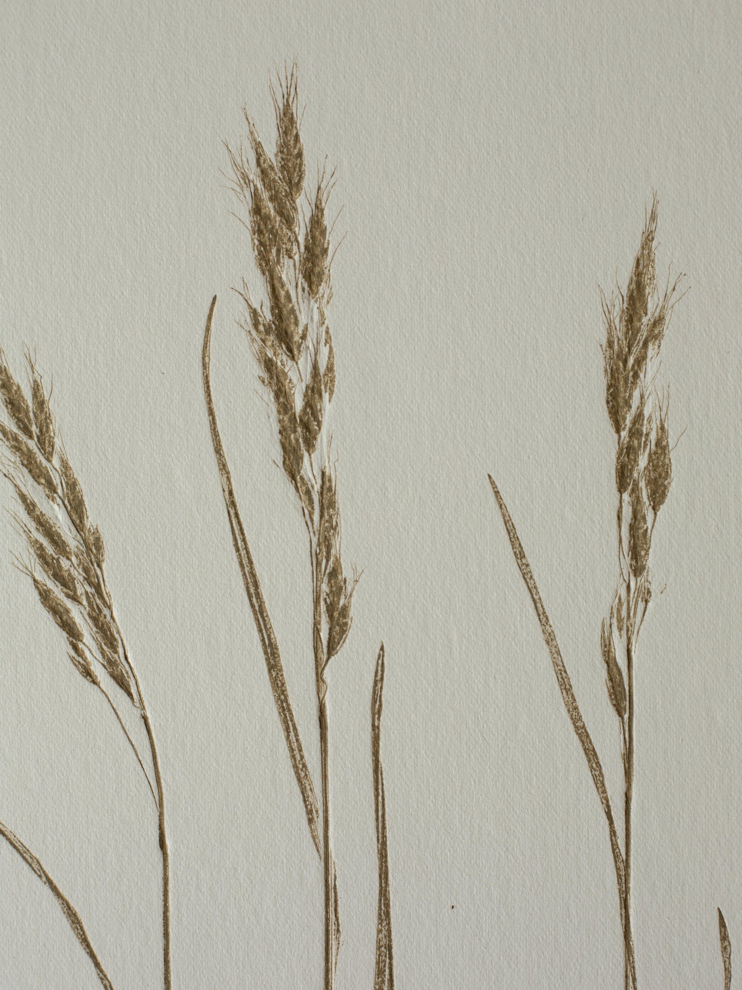 Three Grasses 2, Monoprint, Original Botanical Print