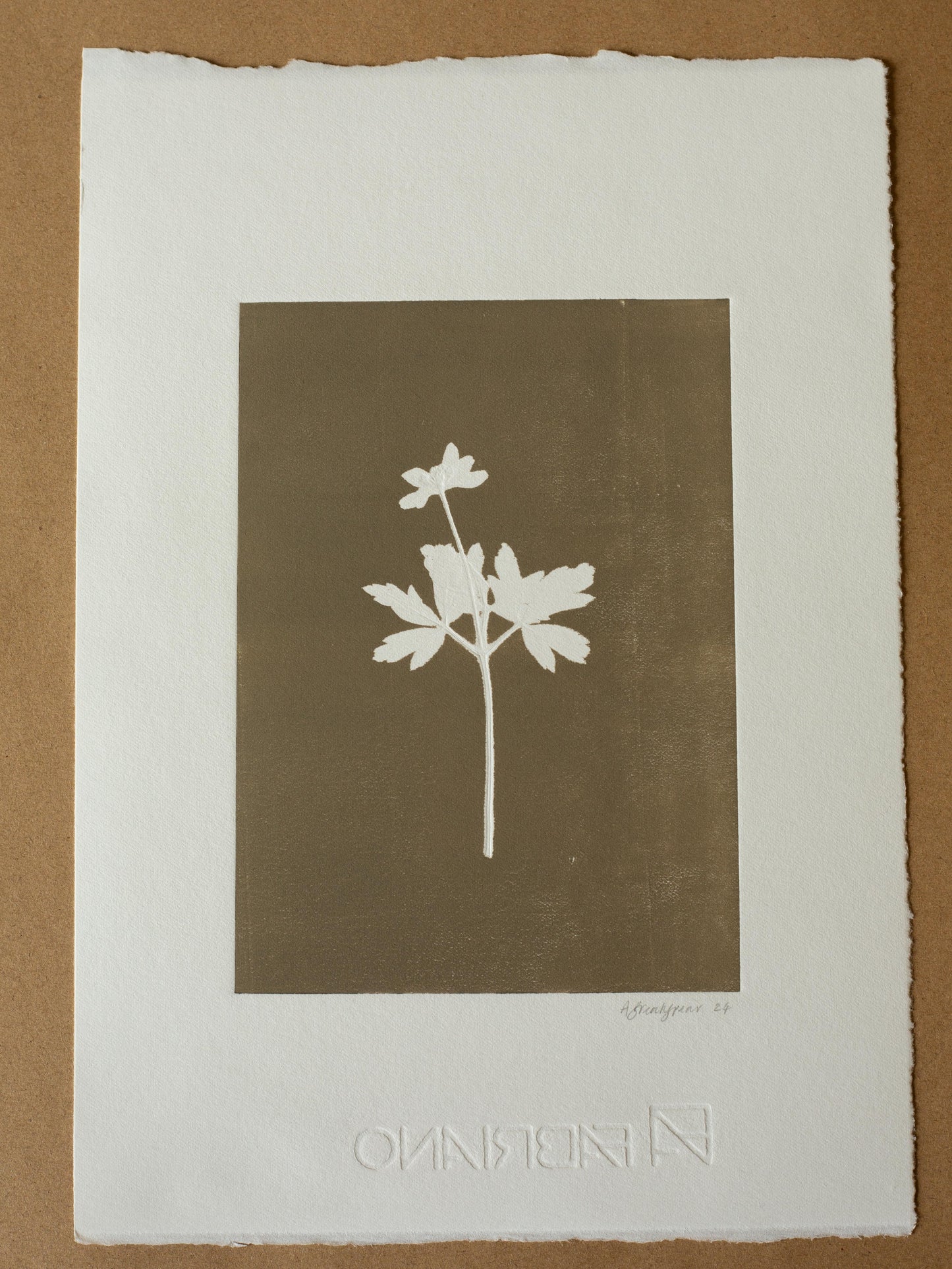 Wood Anemone 4, Monoprint, Original Botanical Print