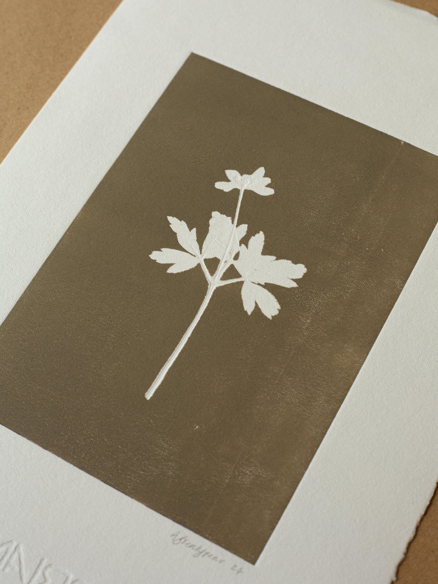 Wood Anemone 4, Monoprint, Original Botanical Print