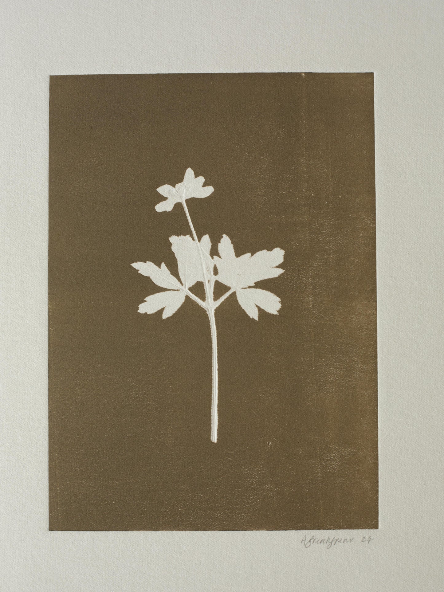 Wood Anemone 4, Monoprint, Original Botanical Print