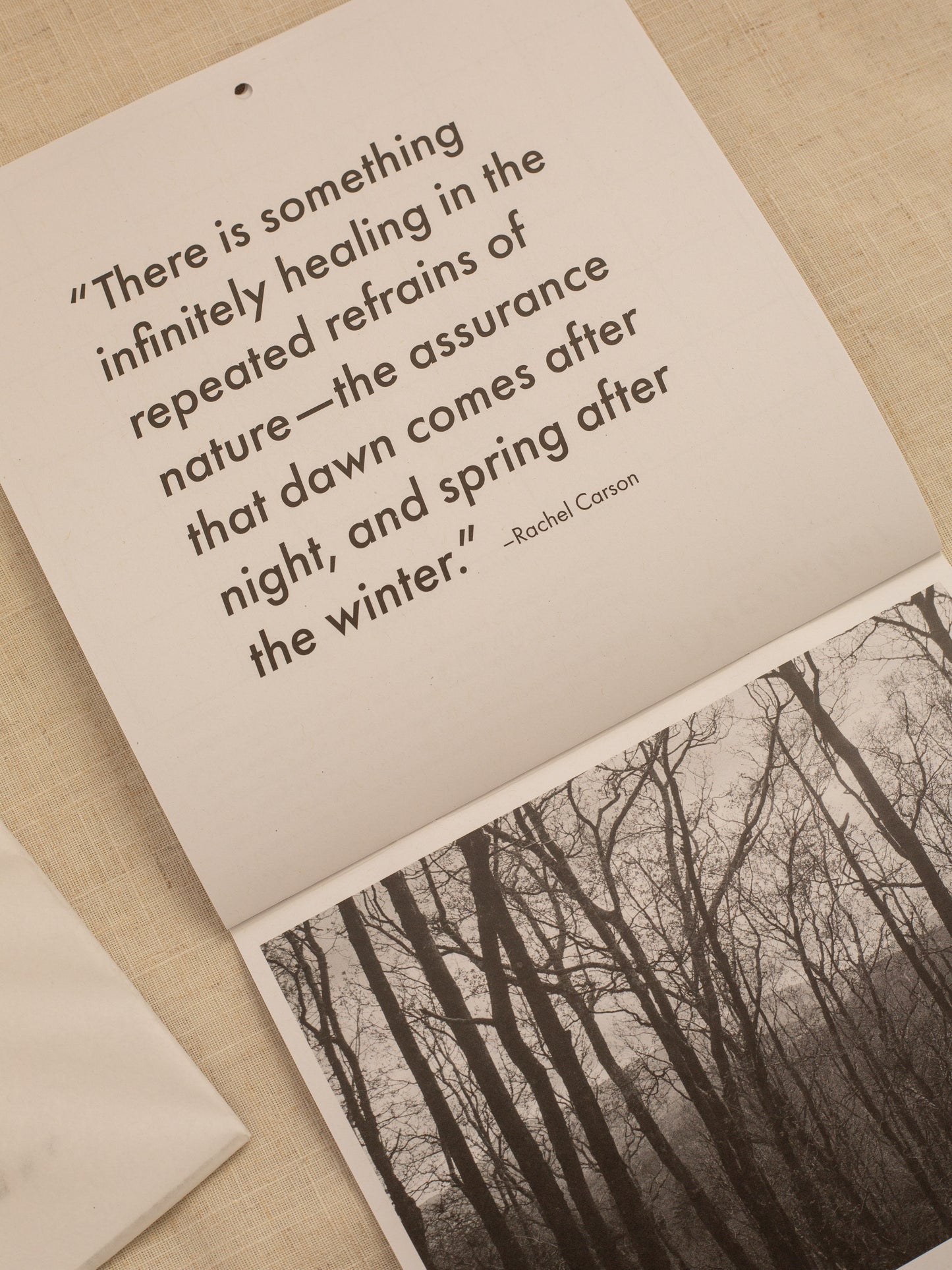 The last page of the botanical calendar features a photograph by me and a quote from Rachel Carson, Author of Silent Spring ''There is something infinitely healing in the repeated refrains of nature - the assurance that dawn comes after night, and spring comes after the winter.''